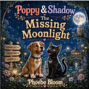 Poppy & Shadow: The Missing Moonlight