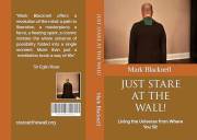 JUST STARE AT THE WALL!: Living the Universe from Where You Sit