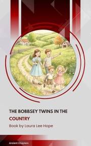 The Bobbsey Twins in the Country