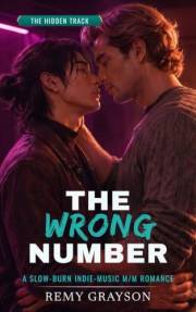 The Wrong Number: A Slow-Burn Indie-Music M/M Romance (The Hidden Track Book 1)