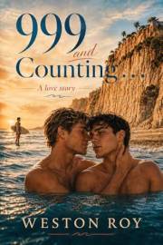 999 and Counting . . .: A Love Story (Boys of the Blue Hour Book 1)