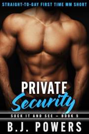 Private Security: Straight-To-Gay First Time MM Short (Suck It And See Book 5)