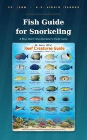 ST. JOHN U.S. VIRGIN ISLANDS: Fish Guide for Snorkeling: A Blue Pearl Villa Snorkeler's Field Guide
