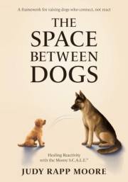 The Space Between Dogs: Healing Reactivity with the Moore S.C.A.L.E.™