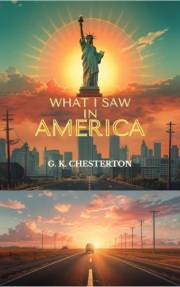What I saw in America