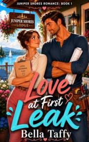 Love at First Leak: A Small-Town Contractor Rom-Com (Juniper Shores Romance Book 1)
