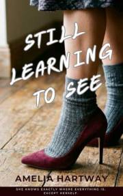 Still Learning to See: A Novel of Self-Discovery