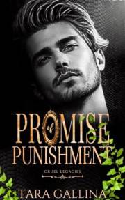 Promise of Punishment: enemies to lovers, modern-day Gilded Age romance with dark elements and a Secret Garden twist. (Cruel