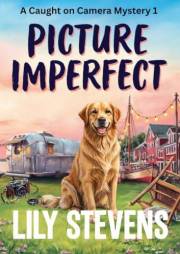 Picture Imperfect (Caught on Camera Mysteries Book 1)