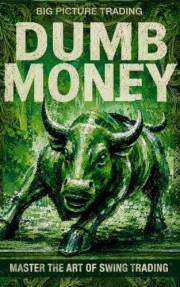 Big Picture Trading Dumb Money: Master The Art Of Swing Trading