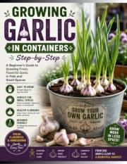 Growing Garlic in Containers Step-by-Step
