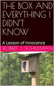 THE BOX AND EVERYTHING I DIDN’T KNOW: A Lesson of Innocence