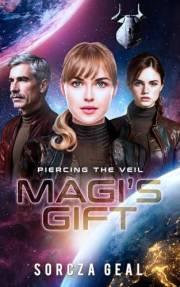 MAGI's Gift: Piercing The Veil