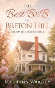 The Best B&B in Breton Hill: A Small Town Women's Fiction Novel (Breton Hill Series Book 2)